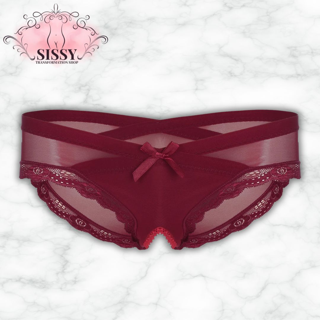 Sexy See Through Men's Lace Sissy Hollow Out Pouch Panties Sheer Panties Low Rise Bikini Briefs Cross-Dresser Sissy Underwear
