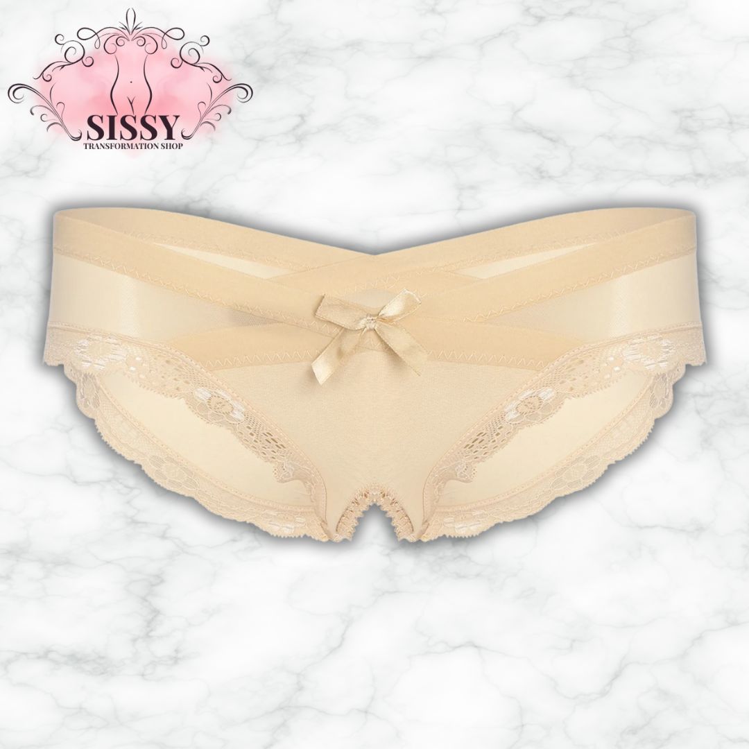 Sexy See Through Men's Lace Sissy Hollow Out Pouch Panties Sheer Panties Low Rise Bikini Briefs Cross-Dresser Sissy Underwear