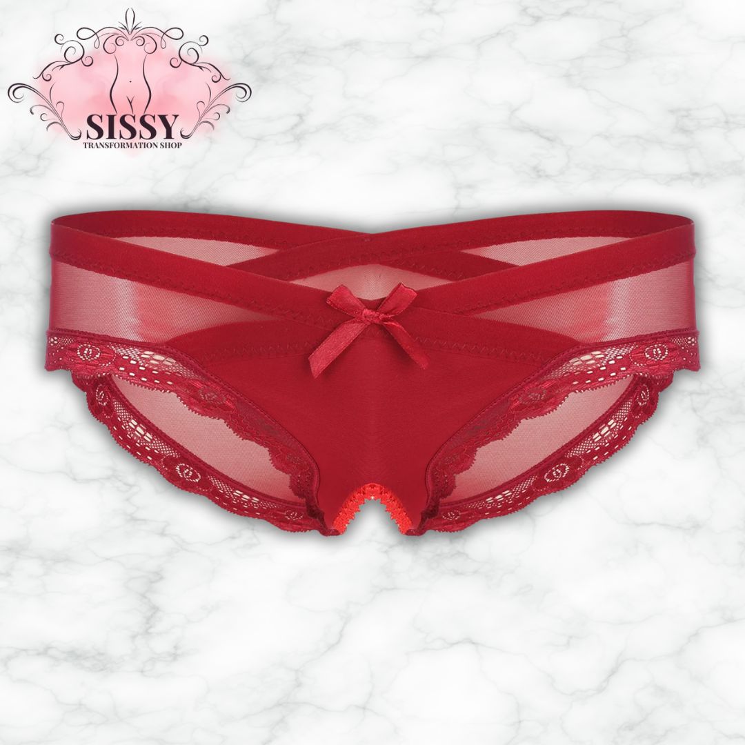 Sexy See Through Men's Lace Sissy Hollow Out Pouch Panties Sheer Panties Low Rise Bikini Briefs Cross-Dresser Sissy Underwear