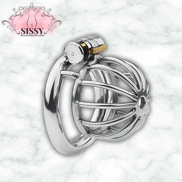 Cage de chasteté sissy et accessoires de contrôle – Sissy ...